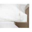 F. ALMOHADAS COMBI 100% LISO 600H